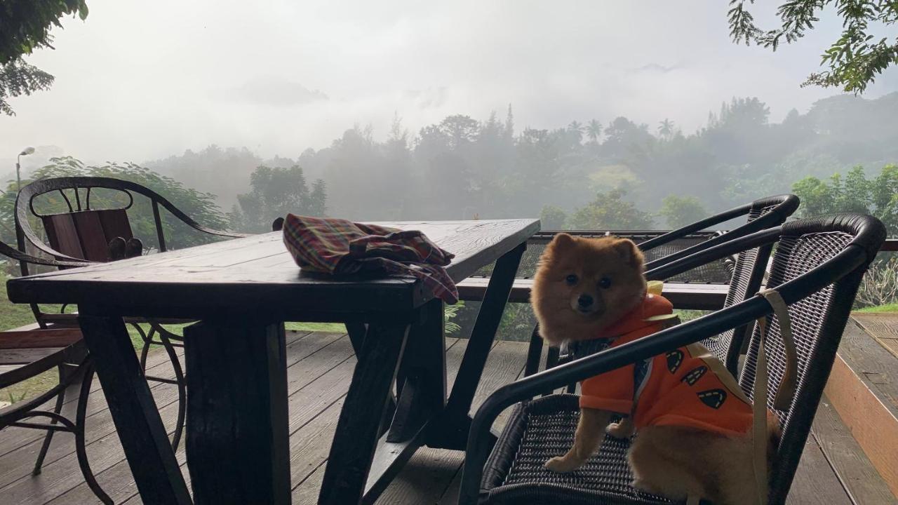 Baanrai Khunya บ้านไร่คุณย่า Ban Huai Maenam Noi エクステリア 写真