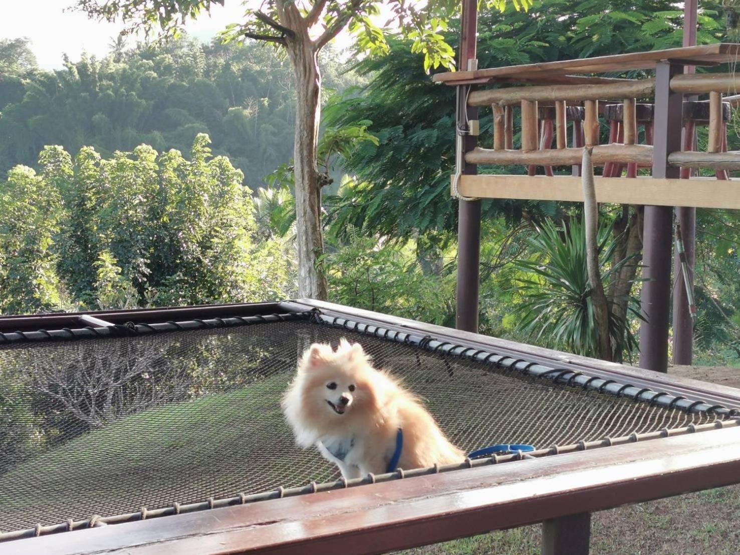 Baanrai Khunya บ้านไร่คุณย่า Ban Huai Maenam Noi エクステリア 写真